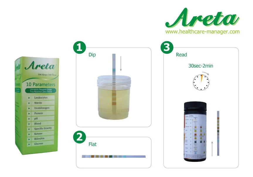Areta 10 Parameter (10SG) Urinalysis Reagent Test Strips 100 Pack - Image 3