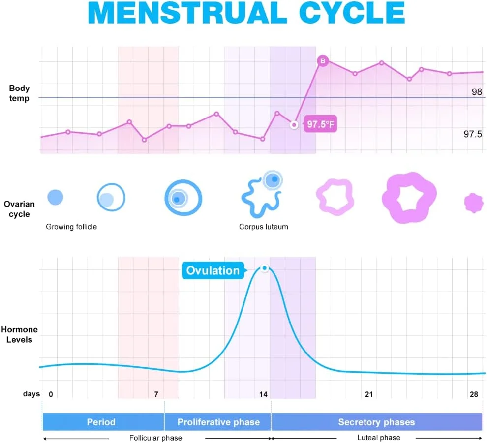 Easy@Home Ovulation & Pregnancy Test Strips Kit: 40 Ovulation Strips and 10 Pregnancy Tests– Accurate Fertility Tracker OPK - Powered by Premom Ovulation APP | 40LH + 10HCG + 50 Urine Cups - Image 6