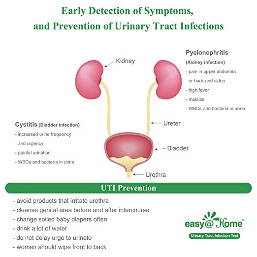 Easy@Home Urinary Tract Infection Test Strips, 10 Pack-FDA Approved - Image 5