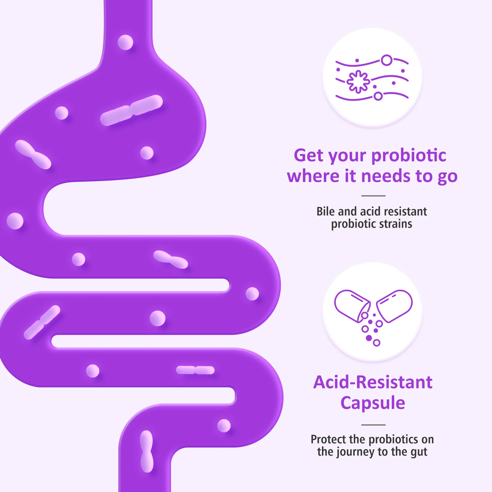 Premom Prenatal Pre & Probiotics for Women: Organic Prebiotics, 30 Billion CFU, 18 Diverse Strains - Image 8